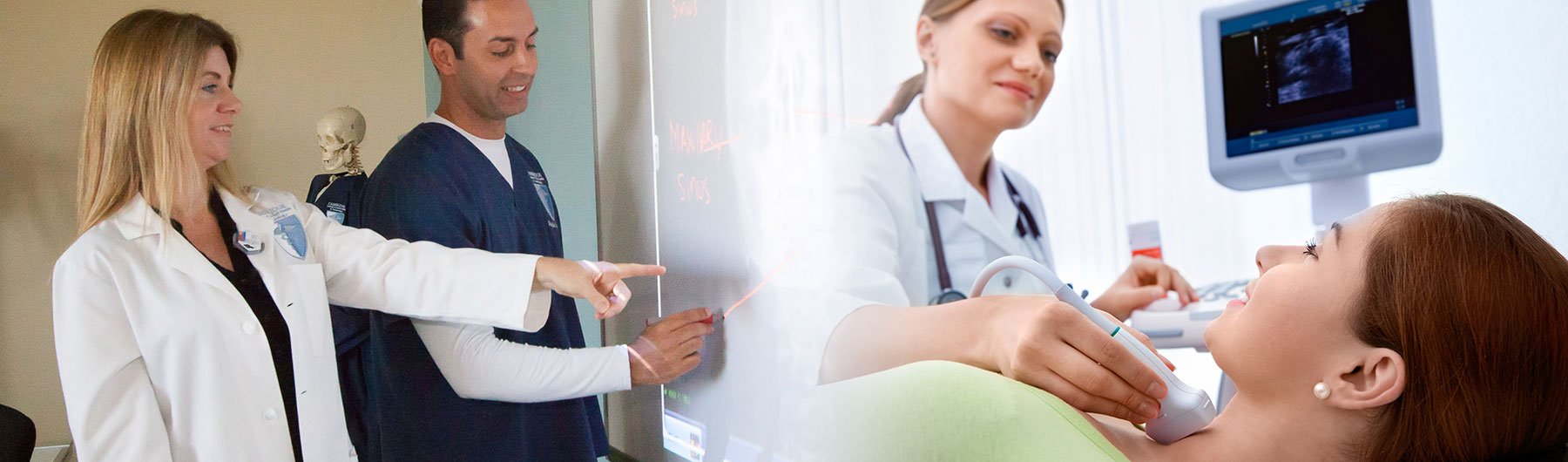 healthcare workers pointing at charts and using a sonogram